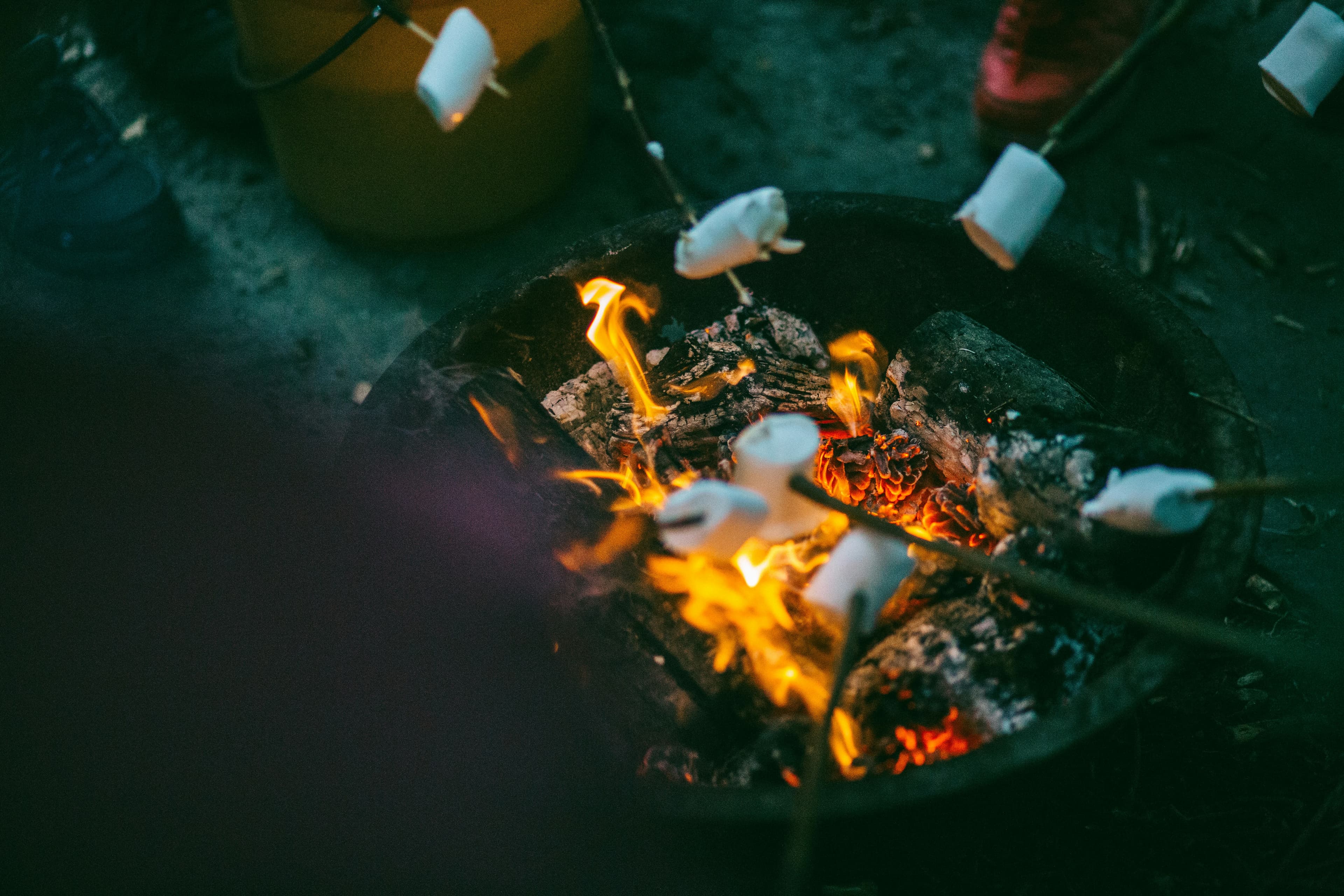 Marshmallows on sticks toasting over a fire in a round fire pit at dusk